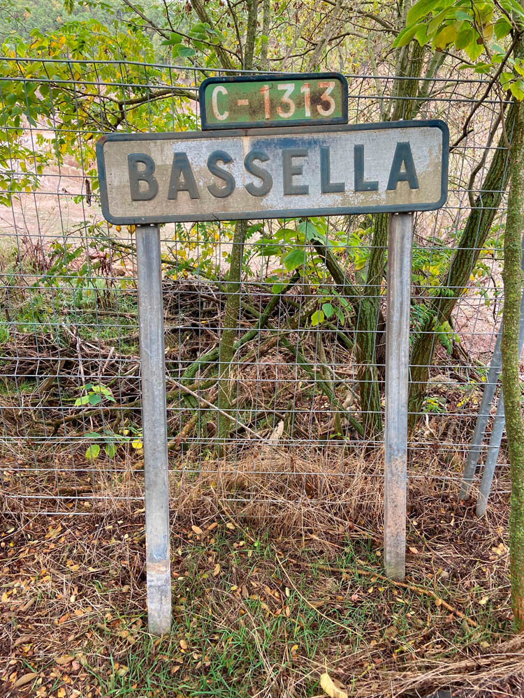 Vw Golf Challenge Bassella Experience